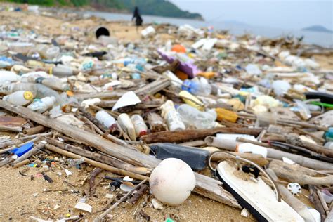 填海壞處|填海嚴重危害海洋生態 9 個環保及關注團體促請政府立。